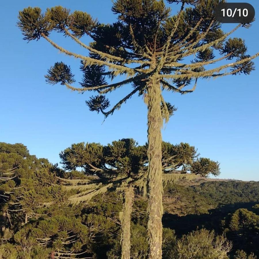 Sitio Bella Vista Urupema