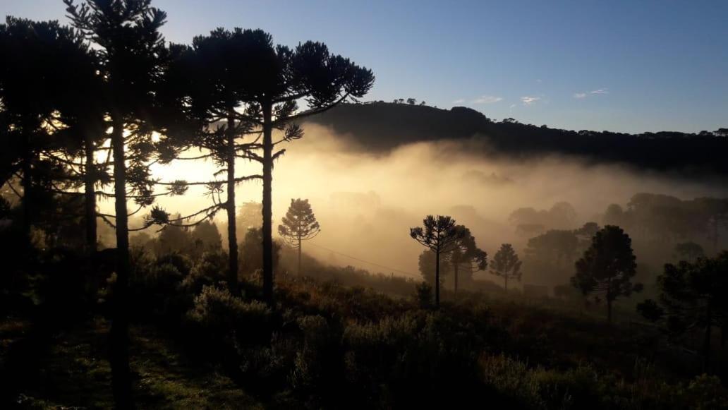 Sitio Bella Vista Urupema