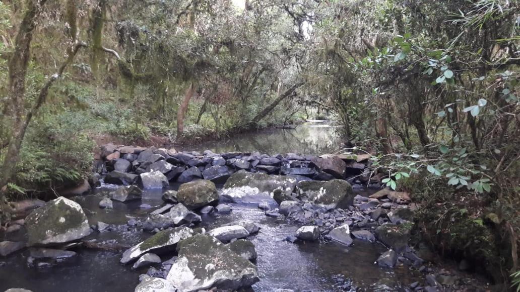 Sitio Bella Vista
